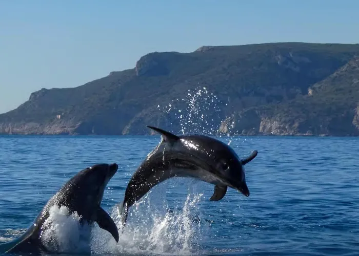 Διαμέρισμα Maison Grise Σετούμπαλ